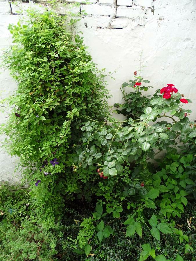 Mur 4 - Apartament Z Patio Stary Toruń 외부 사진