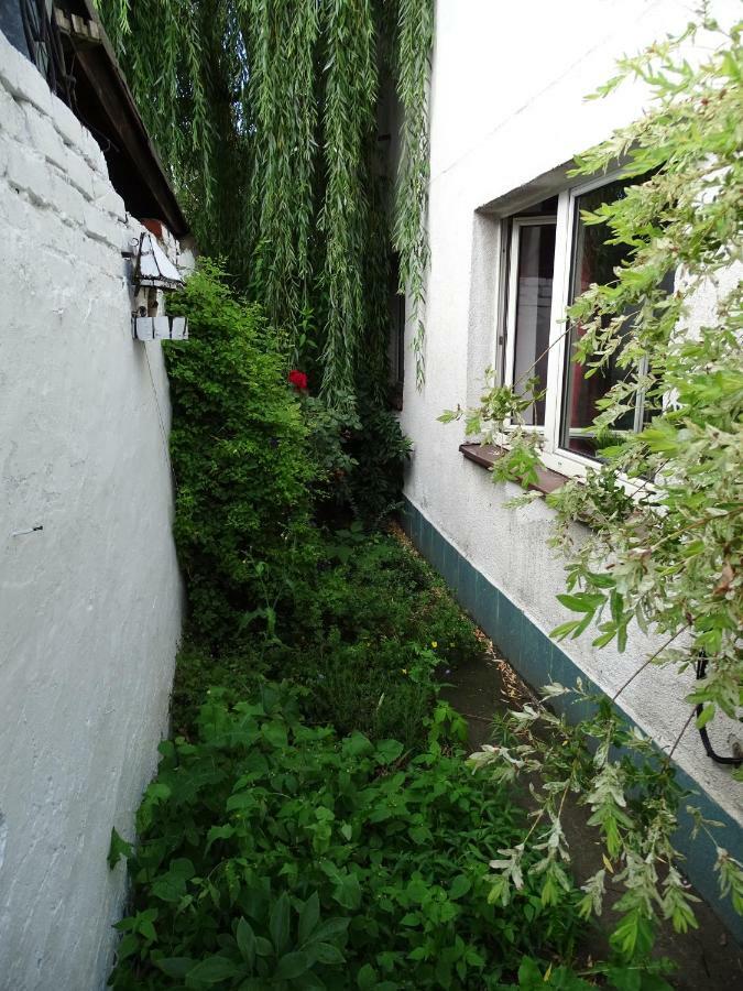 Mur 4 - Apartament Z Patio Stary Toruń 외부 사진