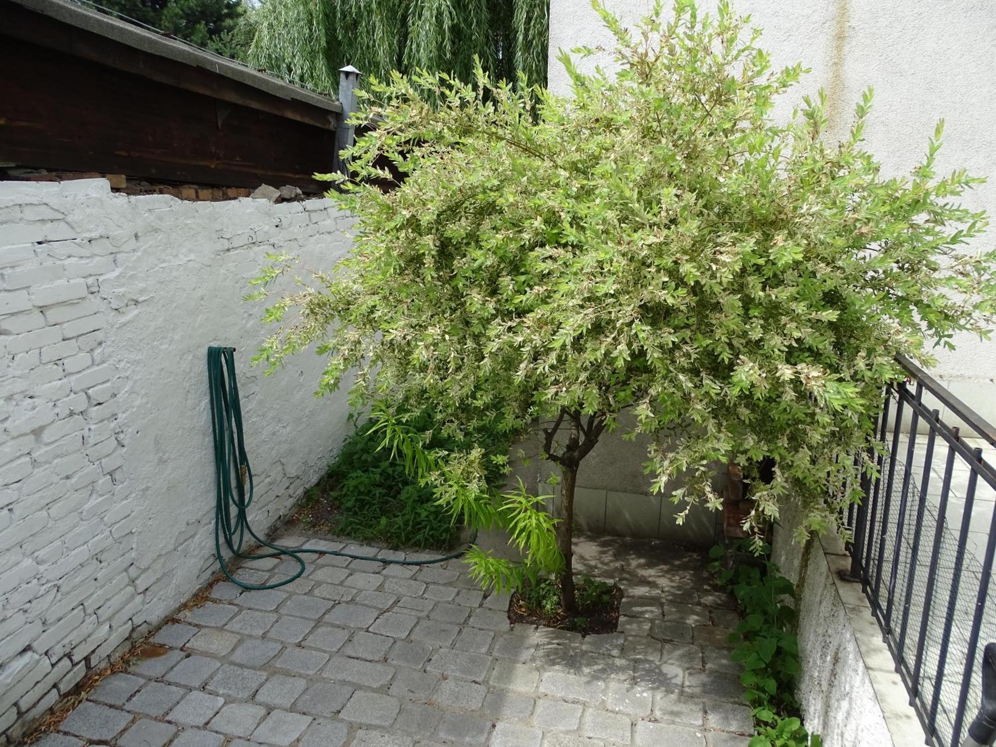 Mur 4 - Apartament Z Patio Stary Toruń 외부 사진